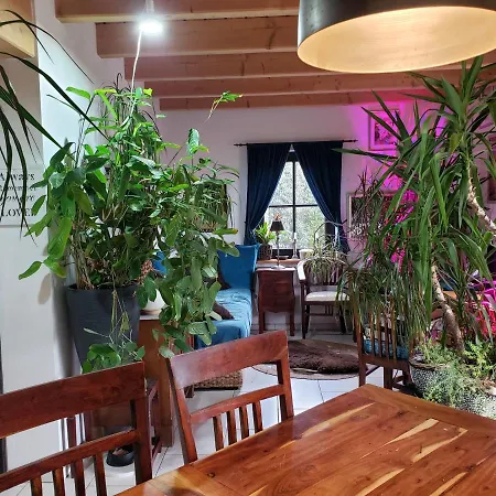 Ferienwohnung In Traumlage Bad Saarow