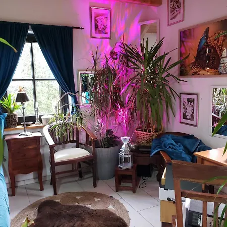 Ferienwohnung In Traumlage